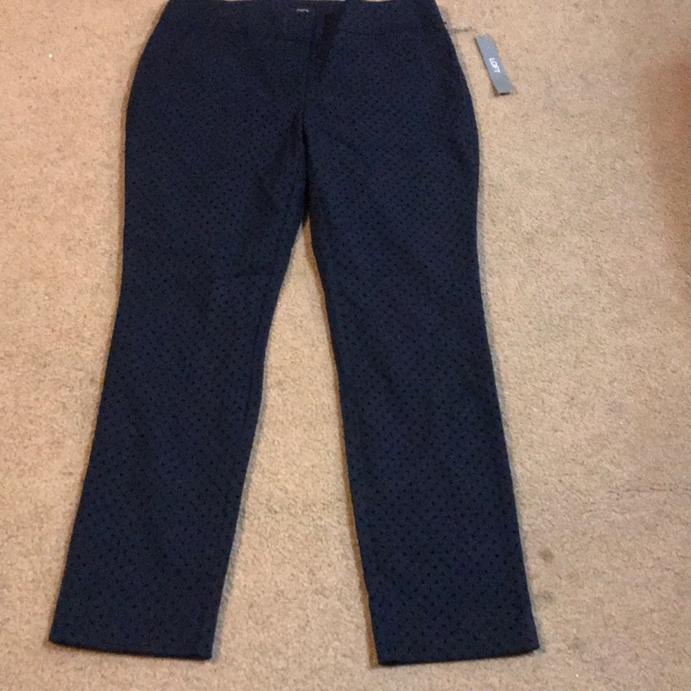 Brand New Loft skinny ankle length pants size 2P
